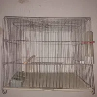 قفس پرنده