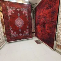 لیدی لاکی|فرش|مشهد, سراب|دیوار