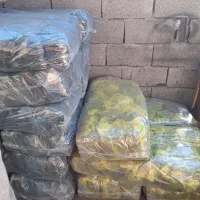 نیروی کار مرد در کارگاه بسته بندی زغال