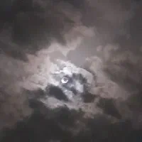 مشاور و راهنمایی