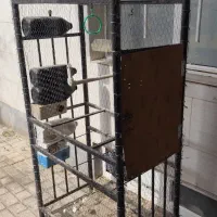 حراج|حراج|بیرجند, |دیوار