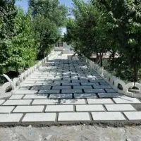 یک نیروی خانم و تعدادی نیروی آقا کاری