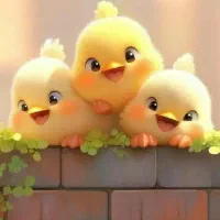 مشورت و همکاری می خوام