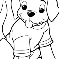 سگ پاپی پیدا شدس