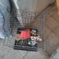 قفس پرنده