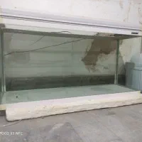 آکواریم ‌خارجی شیشه خم|ماهی|ابریشم, |دیوار