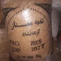نخود کشت بهار بوجاری شده