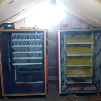 دستگاه جوجه کشی