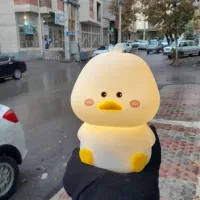 چراغ خواب و...|چراغ خواب و آباژور|ایلام, |دیوار