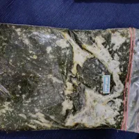 فروش سبزی منجمد