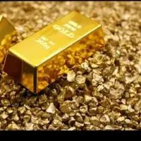 طلای پیدا شده