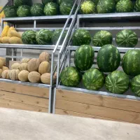 کارگر ساده میوه فروشی