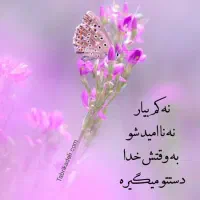 پول قرضی میخوام با سفته