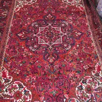 جفت۶متری شربیان ماری درحدنو