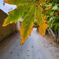 منزل فروشی مهاجران