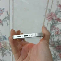 آیفون 12mini|موبایل|اصفهان, باغ نگاره|دیوار