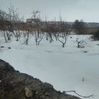 فروش-باغ