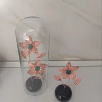 گل مسی