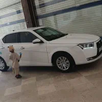 دنا پلاس شیش دنده رینگ آلومینیوم