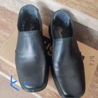 کفش نو|کیف، کفش، کمربند|تبریز, |دیوار