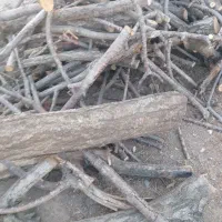 چوب خرید چوب فقط خشک