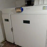 دستگاه جوجه کشی جویبار