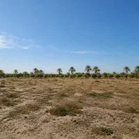 فروش-فوری-زمین-موقعیت-عالی-انارستان