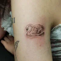 مدل تتو|خدمات آرایشگری و زیبایی|رشت, جانبازان|دیوار