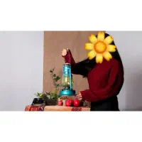 عکاسی دکور یلدا|خدمات پذیرایی، مراسم|بندر گناوه, |دیوار