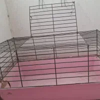 قفس خرگوش