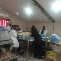 خانم کارمند