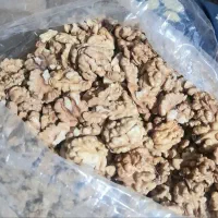 گردوی درجه یک الشتر پوست کاغذی و سفید چرب خوشمزه