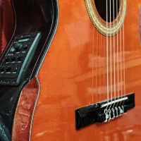 گیتار پیکاپدار Maryar