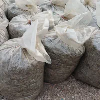 تفاله چغندر