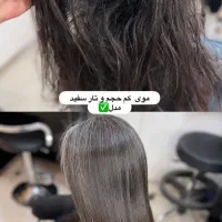 کراتین،اموزش بین المللی و مدل کراتین با ارائه مدرک|خدمات آرایشگری و زیبایی|رشت, کاکتوس|دیوار