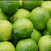 لیمو درجه ۱ بندر