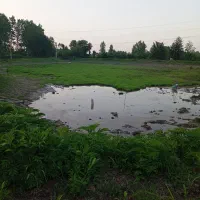 فروش زمین زراعی وپشته