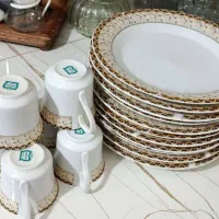 ظروف قیمت مناسب دونه ای 30هزار