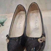 کفش مجلسی