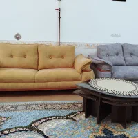 چستر ترک