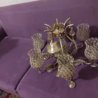 لوستربسیارزیبا