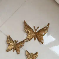 جا کلیدی برنز و پروانه