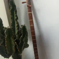 تنبور طرز چشم‌آرو