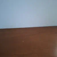 خانم مسلط به کامپیوتر