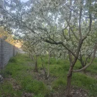 خونه-ویلایی-سند-شش-دانگ