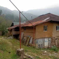 فروش ویلا جنگلی