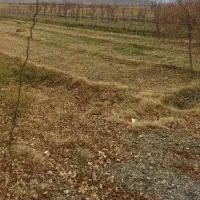 یونجه انباری