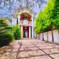 ویلا-دید-کامل-جنگلی