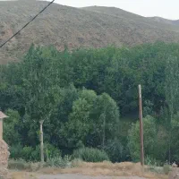 نیازمند کارگر کشاورزی با ماشین
