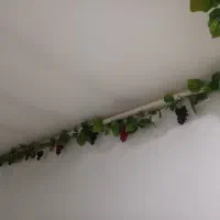 برگ تزیینی|گل مصنوعی|قم, قلعه کامکار|دیوار